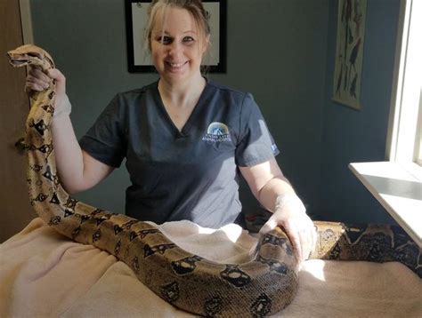 Canandaigua Exotic Vet | Reptile Vet