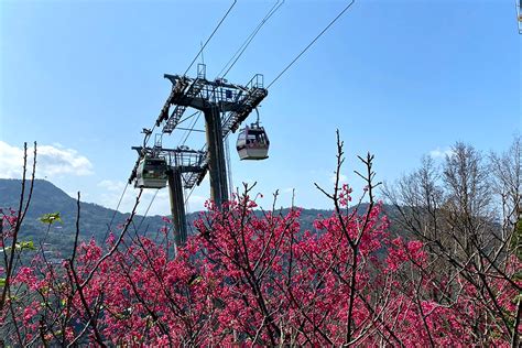 【Taipei 101 Observatory Exclusive 】- Gondola Catwalk Ticket - Taipei ...