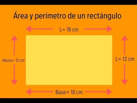 tablero Huelga Vaciar la basura como se calcula el area de un ...