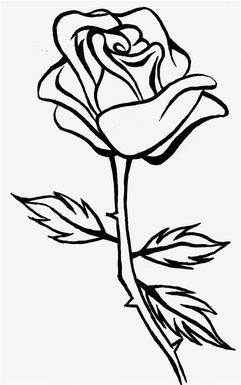 Line Drawing Of A Rose | Free download on ClipArtMag