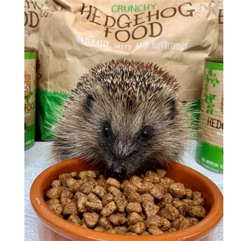 The Best Hedgehog Food List Heavenly Hedgies | atelier-yuwa.ciao.jp