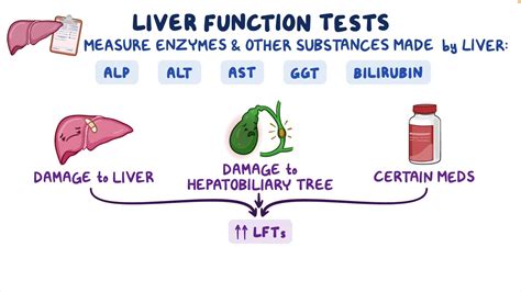 Complete metabolic panel (CMP) - Liver function tests (LFT): Nursing ...