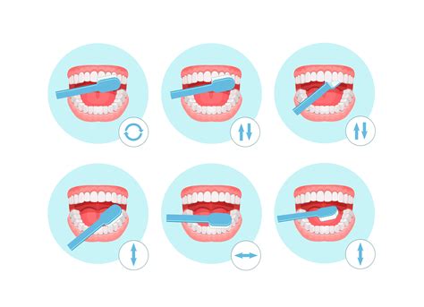 Best Technique for Brushing Teeth - Cleaning Your Teeth