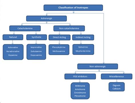 Classification of Inotropes | Highlights | Cardiac Anaesthesia | Dr ...