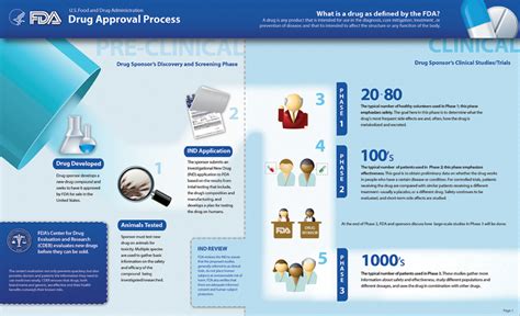 FDA Drug Approval Process Infographic (Horizontal) | FDA