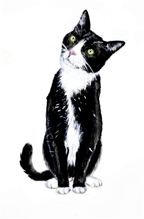 Tuxedo Cat Drawing | Free download on ClipArtMag