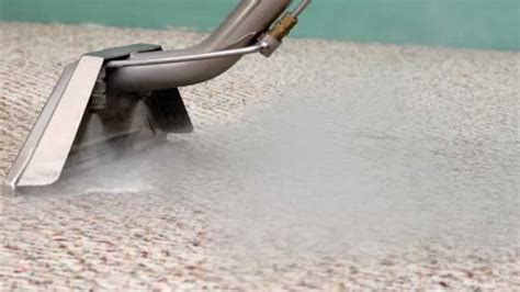 What is the Best Carpet Cleaning Method?