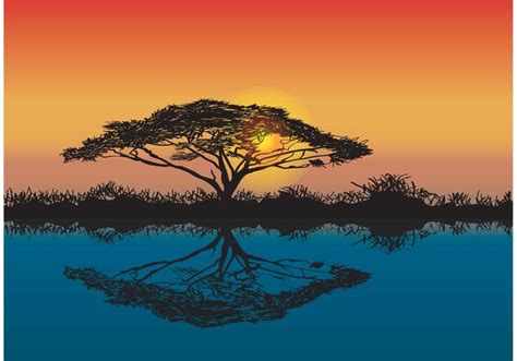 Acacia Tree African Sunset Vector - Download Free Vector Art, Stock ...