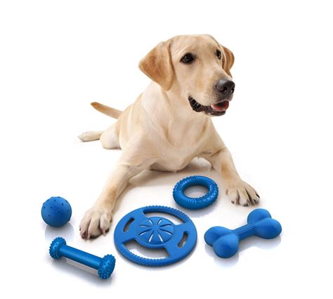 The most charming dogs in the world!: Toys for dogs!