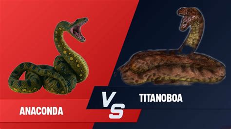 Anaconda vs Titanoboa - Animal Revolt Battle Simulator (ARBS) - YouTube