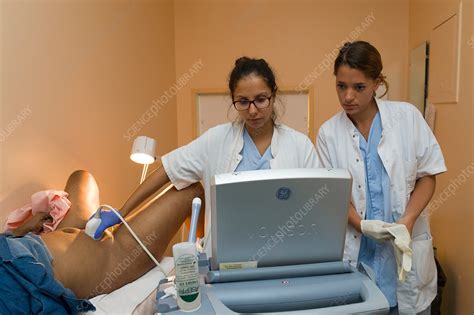 Assisted Reproductive Technology - Stock Image - C037/9844 - Science ...