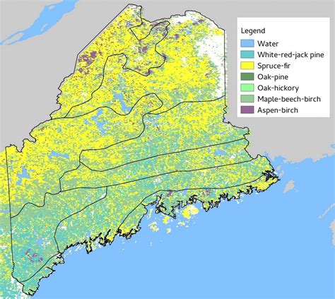 Forest Climate Change Initiative - Center for Research on Sustainable ...