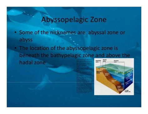 Abyssopelagic zone