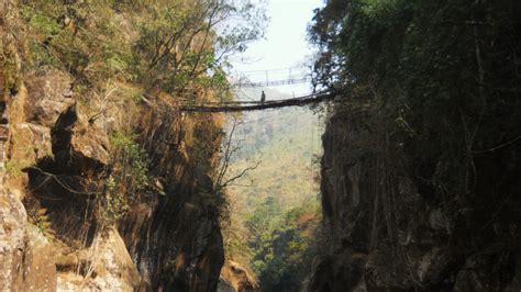 Ten Exceptional Living Root Bridges - The Living Root Bridge Project