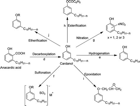 Cardanol – Cashew – CNSL – Cardanol