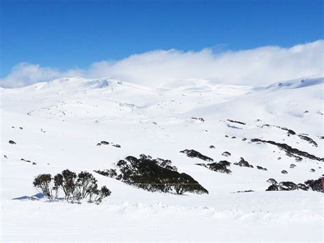 Winter Escape To Australia's Snowy Mountains | Travel Insider