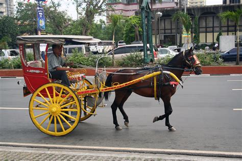 kalesa (horse drawn cart) | Kalesa (sometimes called a karit… | Flickr