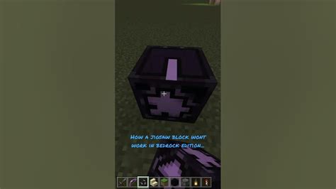 How a Jigsaw Block Won't Work in Minecraft Bedrock Edition #shorts ...