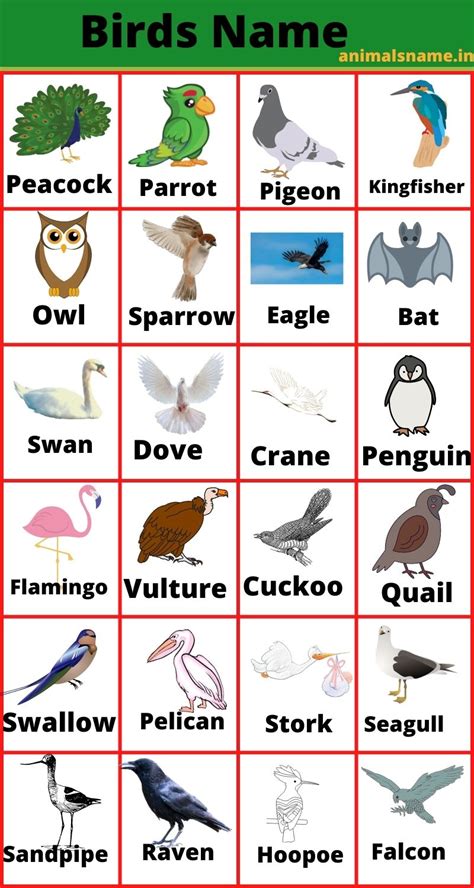 Air Animals With Names