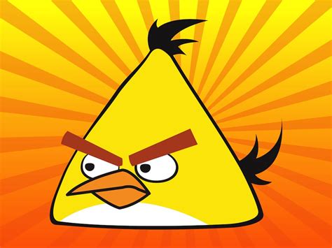 Yellow Angry Bird Vector Art & Graphics | freevector.com