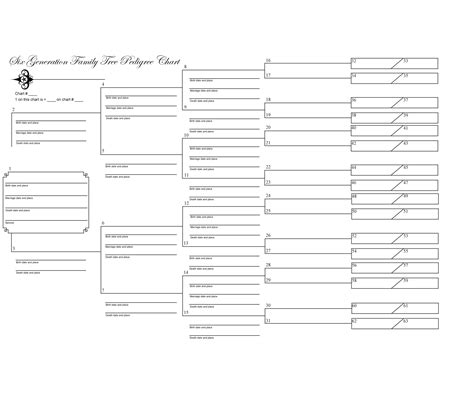 40+ Free Family Tree Templates (Word, Excel, PDF) - Template Lab