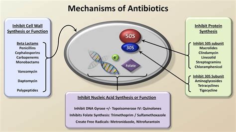 class of antibiotic - pictures, photos