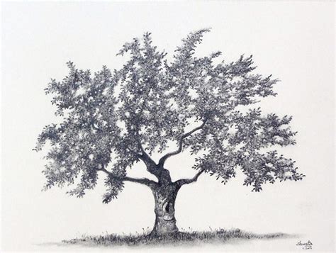 Sketch Drawing Apple Tree / Its painting and drawing function is very ...