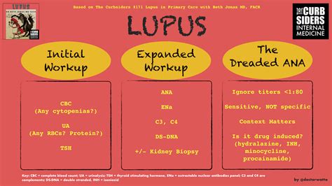 Infographic-Lupus-Diagnosis-Pearls-The-Curbsiders-171-Lupus-in-Primary ...