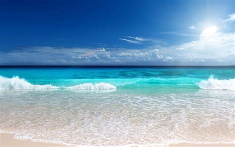 Download Tropical Beach Scene Summertime Wallpaper | Wallpapers.com