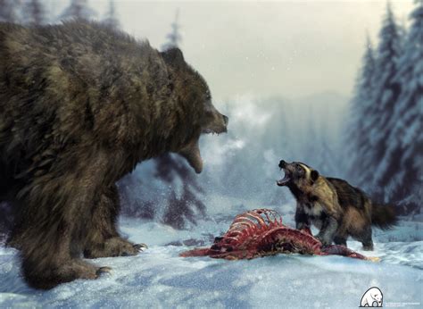 ArtStation - Wolverine vs. Grizzly