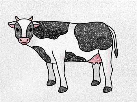 How to Draw a Cow - HelloArtsy