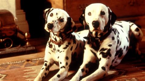 101 Echte Dalmatiërs (1996) Gratis Films Kijken Met Ondertiteling ...