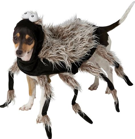 7 Scary Halloween Costumes For Dogs That Are Hilariously Adorable