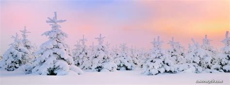 Pretty Winter Facebook Covers, Pretty Winter FB Covers, Pretty Winter ...