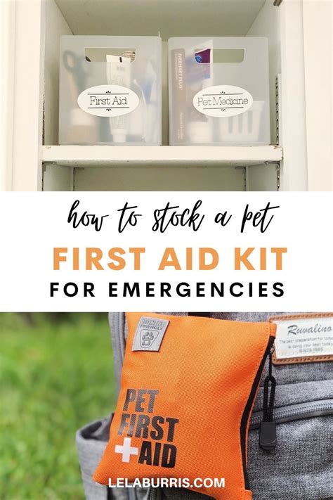 How To Make A Pet First Aid Kit - Organized-ish