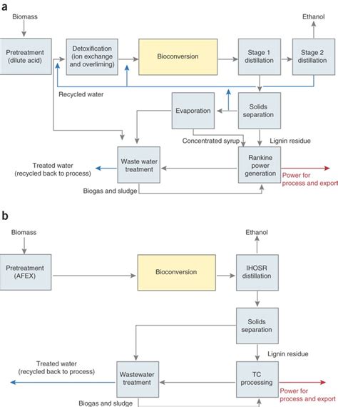 Biofuel production processes.(a) Schematic diagram of scenario 1 ...