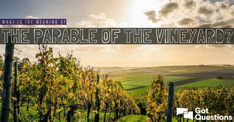 What is the meaning of the Parable of the Vineyard? | GotQuestions.org