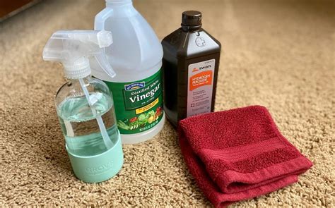 Homemade Carpet Cleaner (Just 2 Ingredients!)