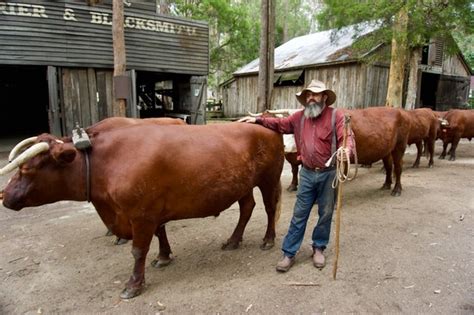 San Fermin: History, Traditions, Interesting Facts - Happiness Creativity