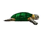 Free Animated Turtle Gifs at Best Animations