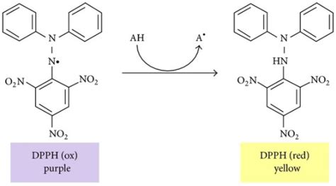 Dpph Assay For Antioxidant Activity Principle Meaning - takealpha