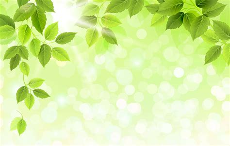 Green Leaves Background