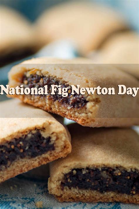 Delicious Fig Newtons to Celebrate National Fig Newton Day