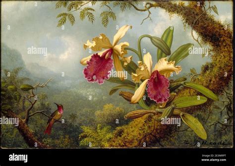 Martin Johnson Heade - Orchids and Hummingbird Stock Photo - Alamy