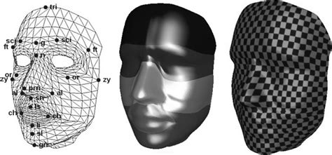 Head 3d Model Mesh