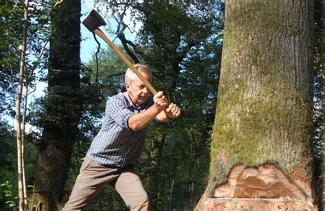 Axe & handtools training including tree felling - wholewoods