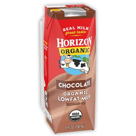 Best Low Carb Chocolate Milk Brands 2024 - AtOnce