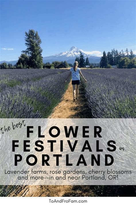 10 gorgeous flower festivals in Portland (+ nearby) - To & Fro Fam