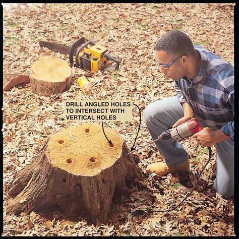 How to Remove a Tree Stump Painlessly (DIY) | Family Handyman