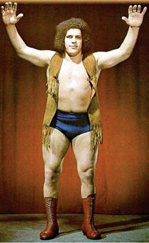 Andre the Giant - Wrestler - Fantasy Character Profile - Writeups.org